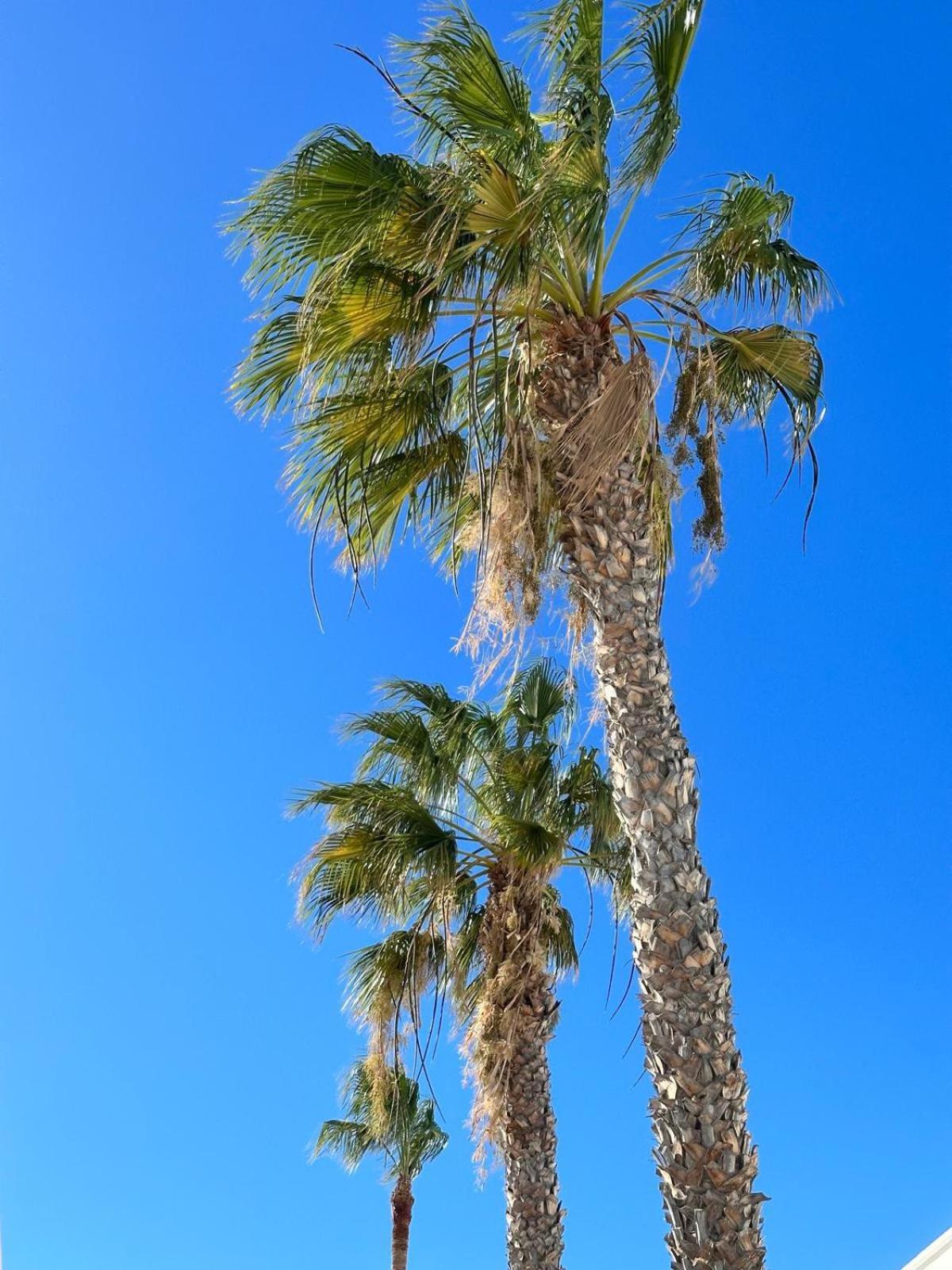פוארטו דל כרמן Sunny Apartment מראה חיצוני תמונה